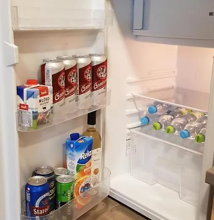 Stylove Podkrovni Apartmany Ostrava Апартаменты