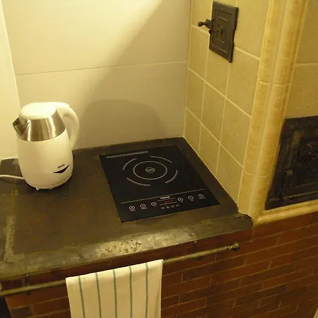 Stylove Podkrovni Apartmany Ostrava Апартаменты Острава