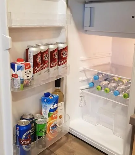 Stylove Podkrovni Lejlighed